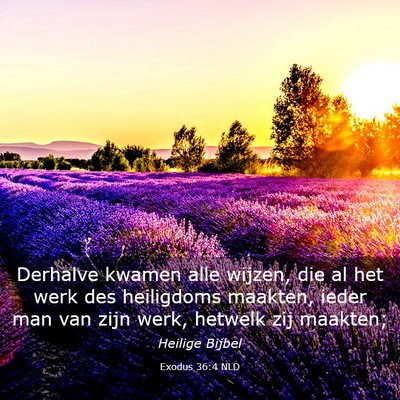 Picture 03 - Exodus 36:4 NLD - Derhalve kwamen alle wijzen, die al het werk des - Bible Verse Picture