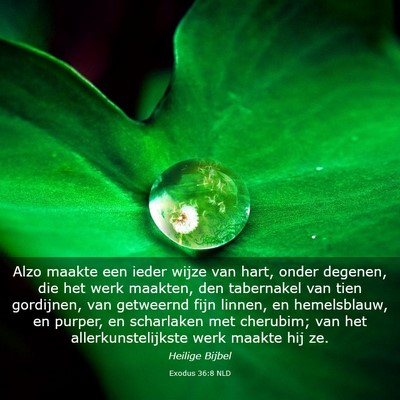 Picture 03 - Exodus 36:8 NLD - Alzo maakte een ieder wijze van hart, onder - Bible Verse Picture