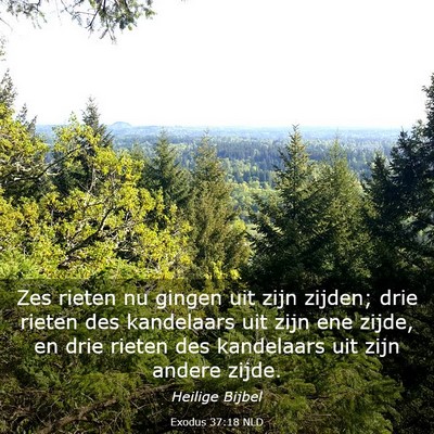 Picture 03 - Exodus 37:18 NLD - Zes rieten nu gingen uit zijn zijden; drie rieten - Bible Verse Picture