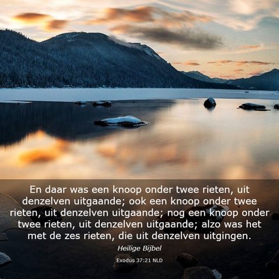 Picture 03 - Exodus 37:21 NLD - En daar was een knoop onder twee rieten, uit - Bible Verse Picture