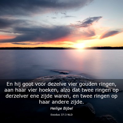 Picture 03 - Exodus 37:3 NLD - En hij goot voor dezelve vier gouden ringen, aan - Bible Verse Picture
