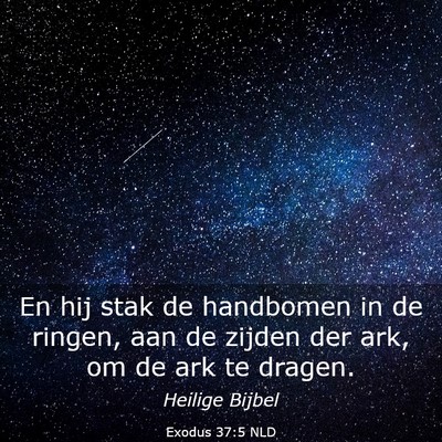 Picture 03 - Exodus 37:5 NLD - En hij stak de handbomen in de ringen, aan de - Bible Verse Picture