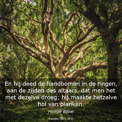Picture 03 - Exodus 38:7 NLD - En hij deed de handbomen in de ringen, aan de - Bible Verse Picture