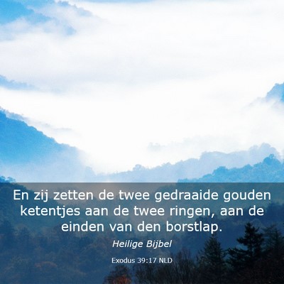 Picture 03 - Exodus 39:17 NLD - En zij zetten de twee gedraaide gouden ketentjes - Bible Verse Picture