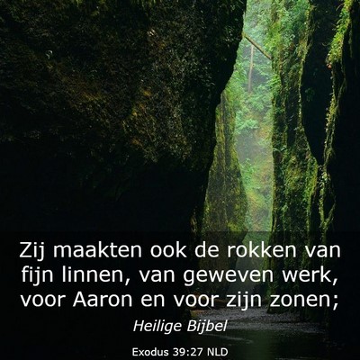 Picture 03 - Exodus 39:27 NLD - Zij maakten ook de rokken van fijn linnen, van - Bible Verse Picture