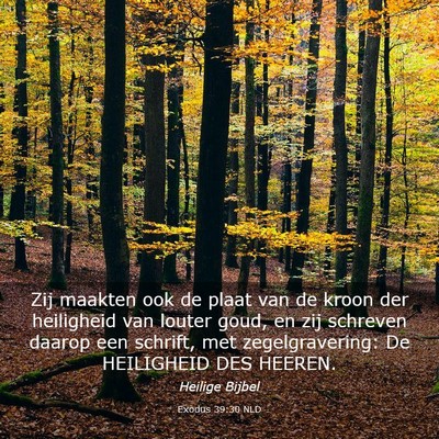 Picture 03 - Exodus 39:30 NLD - Zij maakten ook de plaat van de kroon der - Bible Verse Picture