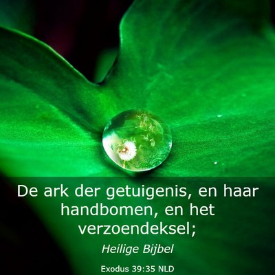 Picture 03 - Exodus 39:35 NLD - De ark der getuigenis, en haar handbomen, en het - Bible Verse Picture