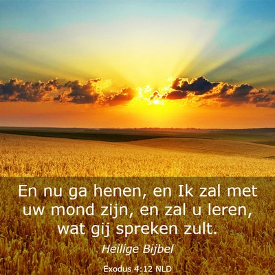 Picture 03 - Exodus 4:12 NLD - En nu ga henen, en Ik zal met uw mond zijn, en - Bible Verse Picture