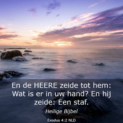 Picture 03 - Exodus 4:2 NLD - En de HEERE zeide tot hem: Wat is er in uw hand? - Bible Verse Picture