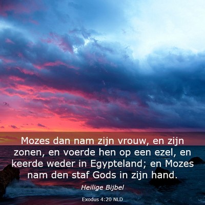 Picture 03 - Exodus 4:20 NLD - Mozes dan nam zijn vrouw, en zijn zonen, en - Bible Verse Picture