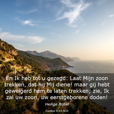 Picture 03 - Exodus 4:23 NLD - En Ik heb tot u gezegd: Laat Mijn zoon trekken, - Bible Verse Picture