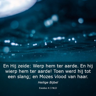 Picture 03 - Exodus 4:3 NLD - En Hij zeide: Werp hem ter aarde. En hij wierp - Bible Verse Picture