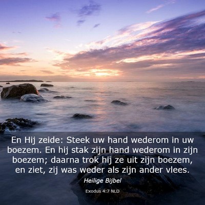 Picture 03 - Exodus 4:7 NLD - En Hij zeide: Steek uw hand wederom in uw boezem. - Bible Verse Picture
