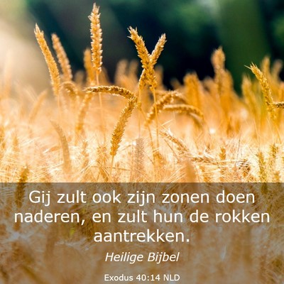 Picture 03 - Exodus 40:14 NLD - Gij zult ook zijn zonen doen naderen, en zult hun - Bible Verse Picture