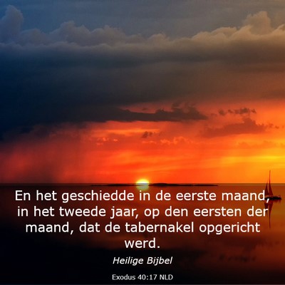 Picture 03 - Exodus 40:17 NLD - En het geschiedde in de eerste maand, in het - Bible Verse Picture