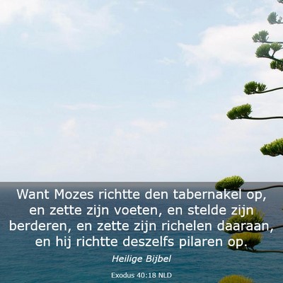 Picture 03 - Exodus 40:18 NLD - Want Mozes richtte den tabernakel op, en zette - Bible Verse Picture