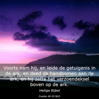 Picture 03 - Exodus 40:20 NLD - Voorts nam hij, en leide de getuigenis in de ark, - Bible Verse Picture
