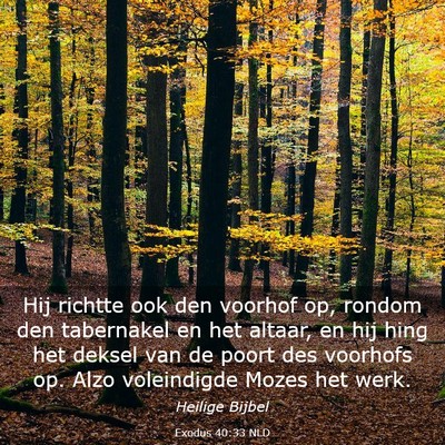 Picture 03 - Exodus 40:33 NLD - Hij richtte ook den voorhof op, rondom den - Bible Verse Picture