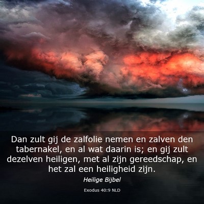Picture 03 - Exodus 40:9 NLD - Dan zult gij de zalfolie nemen en zalven den - Bible Verse Picture