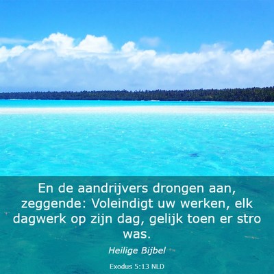 Picture 03 - Exodus 5:13 NLD - En de aandrijvers drongen aan, zeggende: - Bible Verse Picture
