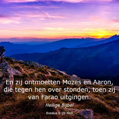 Picture 03 - Exodus 5:20 NLD - En zij ontmoetten Mozes en Aaron, die tegen hen - Bible Verse Picture