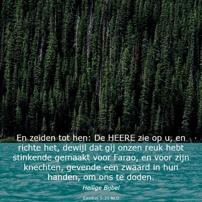 Picture 03 - Exodus 5:21 NLD - En zeiden tot hen: De HEERE zie op u, en richte - Bible Verse Picture