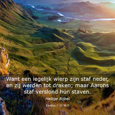 Picture 03 - Exodus 7:12 NLD - Want een iegelijk wierp zijn staf neder, en zij - Bible Verse Picture