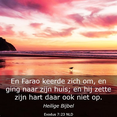 Picture 03 - Exodus 7:23 NLD - En Farao keerde zich om, en ging naar zijn huis; - Bible Verse Picture