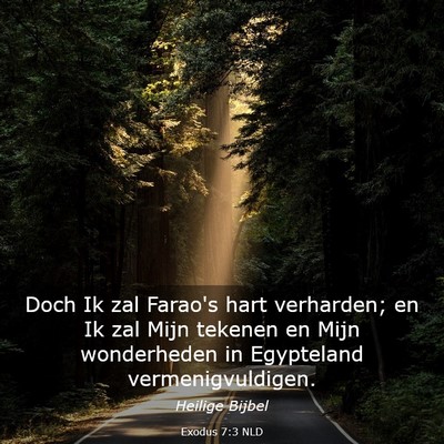 Picture 03 - Exodus 7:3 NLD - Doch Ik zal Farao's hart verharden; en Ik zal - Bible Verse Picture