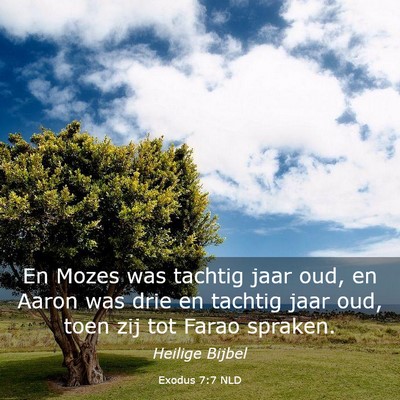 Picture 03 - Exodus 7:7 NLD - En Mozes was tachtig jaar oud, en Aaron was drie - Bible Verse Picture