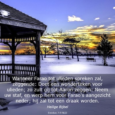 Picture 03 - Exodus 7:9 NLD - Wanneer Farao tot ulieden spreken zal, zeggende: - Bible Verse Picture