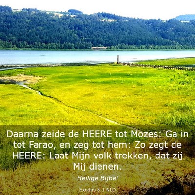 Picture 03 - Exodus 8:1 NLD - Daarna zeide de HEERE tot Mozes: Ga in tot Farao, - Bible Verse Picture
