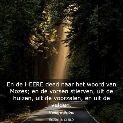 Picture 03 - Exodus 8:13 NLD - En de HEERE deed naar het woord van Mozes; en de - Bible Verse Picture