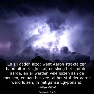 Picture 03 - Exodus 8:17 NLD - En zij deden alzo; want Aaron strekte zijn hand - Bible Verse Picture
