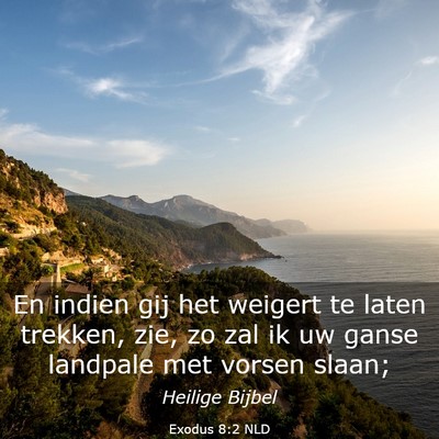 Picture 03 - Exodus 8:2 NLD - En indien gij het weigert te laten trekken, zie, - Bible Verse Picture