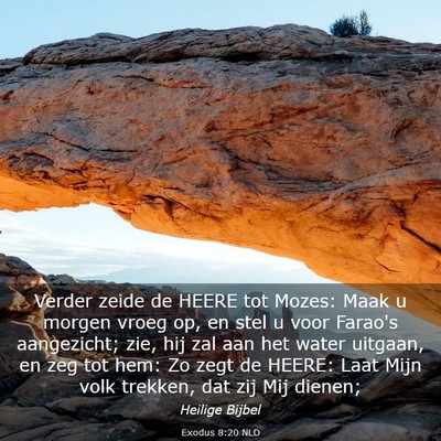 Picture 03 - Exodus 8:20 NLD - Verder zeide de HEERE tot Mozes: Maak u morgen - Bible Verse Picture