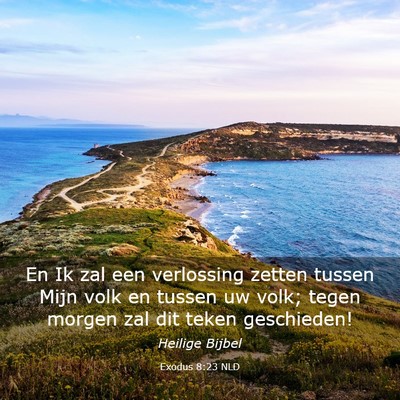 Picture 03 - Exodus 8:23 NLD - En Ik zal een verlossing zetten tussen Mijn volk - Bible Verse Picture