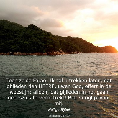 Picture 03 - Exodus 8:28 NLD - Toen zeide Farao: Ik zal u trekken laten, dat - Bible Verse Picture