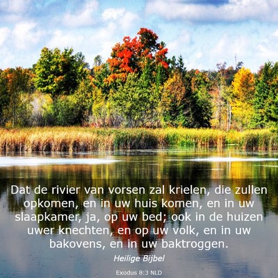 Picture 03 - Exodus 8:3 NLD - Dat de rivier van vorsen zal krielen, die zullen - Bible Verse Picture