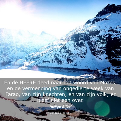 Picture 03 - Exodus 8:31 NLD - En de HEERE deed naar het woord van Mozes, en de - Bible Verse Picture