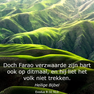 Picture 03 - Exodus 8:32 NLD - Doch Farao verzwaarde zijn hart ook op ditmaal, - Bible Verse Picture