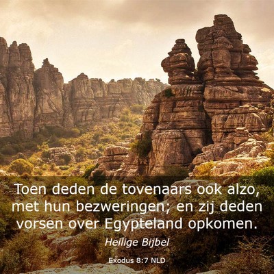 Picture 03 - Exodus 8:7 NLD - Toen deden de tovenaars ook alzo, met hun - Bible Verse Picture