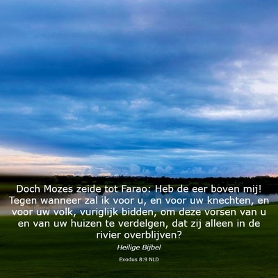 Picture 03 - Exodus 8:9 NLD - Doch Mozes zeide tot Farao: Heb de eer boven mij! - Bible Verse Picture