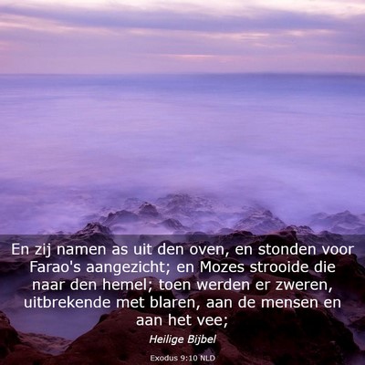 Picture 03 - Exodus 9:10 NLD - En zij namen as uit den oven, en stonden voor - Bible Verse Picture