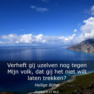 Picture 03 - Exodus 9:17 NLD - Verheft gij uzelven nog tegen Mijn volk, dat gij - Bible Verse Picture