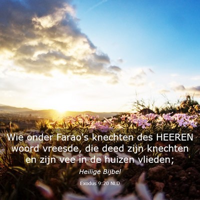 Picture 03 - Exodus 9:20 NLD - Wie onder Farao's knechten des HEEREN woord - Bible Verse Picture