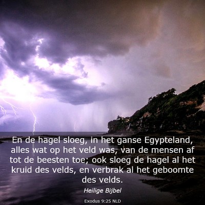Picture 03 - Exodus 9:25 NLD - En de hagel sloeg, in het ganse Egypteland, alles - Bible Verse Picture