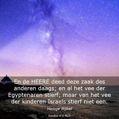 Picture 03 - Exodus 9:6 NLD - En de HEERE deed deze zaak des anderen daags; en - Bible Verse Picture