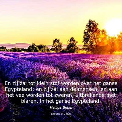 Picture 03 - Exodus 9:9 NLD - En zij zal tot klein stof worden over het ganse - Bible Verse Picture