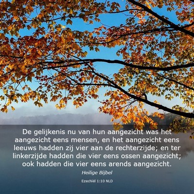 Picture 03 - Ezechiël 1:10 NLD - De gelijkenis nu van hun aangezicht was het - Bible Verse Picture